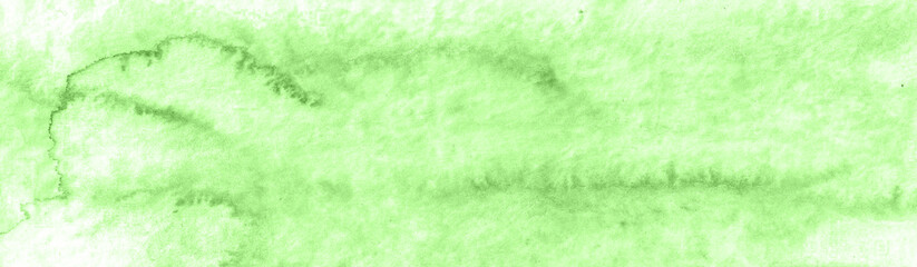 green grass background