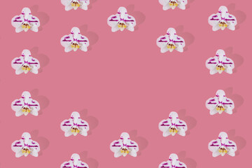 Purple spotted white phalaenopsis orchid blooms pattern on pink background. Orchid flower flat lay with empty circle in the center.