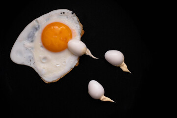 Fertilization process concept. Food layout of fried and boiled eggs. The photo