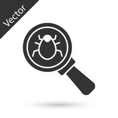 Grey System bug concept icon isolated on white background. Code bug concept. Bug in the system. Bug searching. Vector.