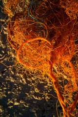 close up of red plastic red net on the beach