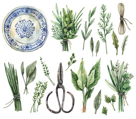 Large watercolor set of illustrations - gardening, kitchen herbs, provence. Parsley, dill, sage, oregano, thyme, mint, basil, bunches of herbs, rope, vintage scissors, ceramic plate - isolated on whit © Tonia Tkach
