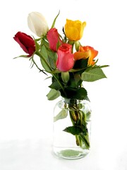 pretty multicolor roses as single or posy close up