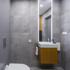 Simple gray bathroom
