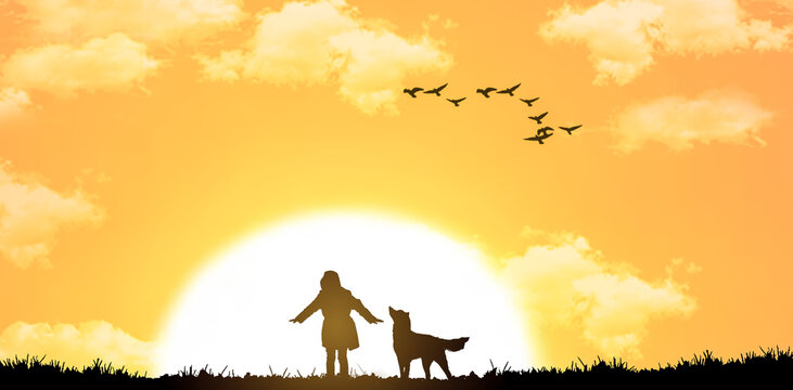 a silhouette girl couple playing with the dog in the meadow at sunset.