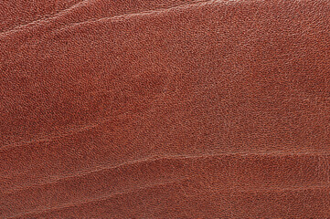 Fototapeta premium Brown skin texture with fold marks