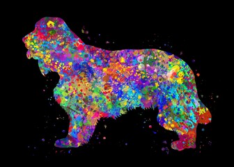 Cocker spaniel Dog watercolor, black background, abstract painting. Watercolor illustration rainbow, colorful, decoration wall art.