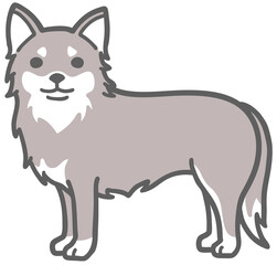 横向きで正面顔のロングコートチワワのイラスト