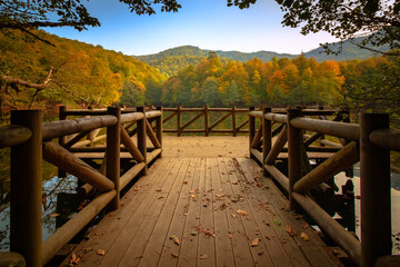 Obraz premium Wooden pier on the lake in the forest at autumn