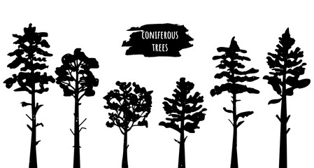 stylized conifers. vector. eps format