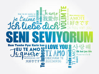 Seni seviyorum (I Love You in Turkish) in different languages of the world