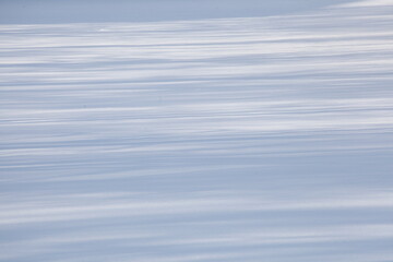 Baumschatten, verschneite Eisfläche, Deutschland, Europa