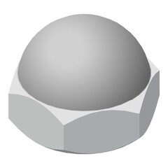 Wheel bolt icon. Isometric of wheel bolt vector icon for web design isolated on white background