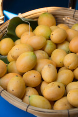Naklejka na ściany i meble Fresh Sweet Yellow Marian Plum or Plum Mango that gardeners put in baskets to be sold