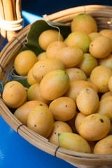 Naklejka na ściany i meble Fresh Sweet Yellow Marian Plum or Plum Mango that gardeners put in baskets to be sold