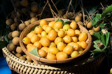 Fresh Sweet Yellow Marian Plum or Plum Mango that gardeners put in baskets to be sold