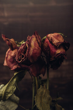 Bouquet of red dry withered roses on a brown background. Vertical orientation. Floral composition 