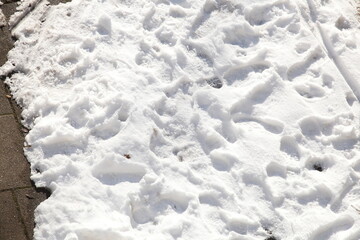 Fußspuren im Schnee, Deutschland, Europa
