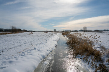 Empese en Tondense Heide in winter, a heather area in the IJsselvallei near Empe and Tonden. 