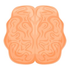 Human brain anatomy icon. Cartoon of human brain anatomy vector icon for web design isolated on white background