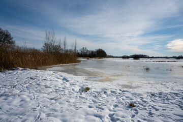 Empese en Tondense Heide in winter, a heather area in the IJsselvallei near Empe and Tonden. 
