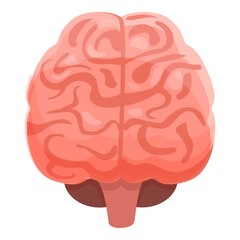 Human brain genius icon. Cartoon of human brain genius vector icon for web design isolated on white background