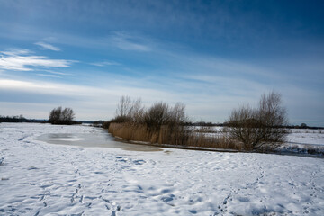Empese en Tondense Heide in winter, a heather area in the IJsselvallei near Empe and Tonden. 