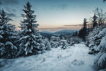 winter landscape in the mountains