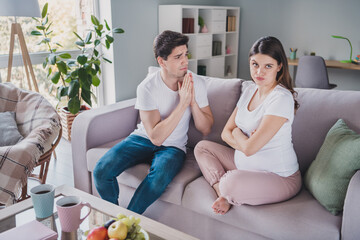 Full size photo of annoyed pregnant woman and guilty husband ask forgiveness sit sofa indoors in...