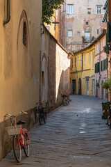 Italy, Lucca. Alleyway - obrazy, fototapety, plakaty