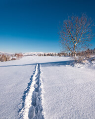 Fototapeta na wymiar A road through a snowy field in the mountains