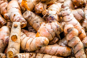 Turmeric roots closeup. Fresh harvest of many turmeric roots background texture.