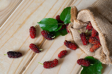 Fresh organic Mulberrys healthy fruit source of vitamin. Red mulberry in gunny bag on the wooden table with sunlight. ingredient for cook dessert and jam.