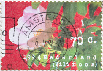 NETHERLANDS - CIRCA 1994: a postage stamp printed in the Netherlands showing a painting of a wild rose