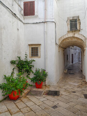 Fototapeta na wymiar Potted plants along the alleys and narrow streets of the white city of Ostuni.