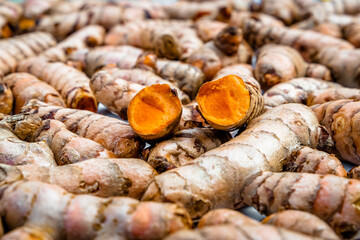 Turmeric roots closeup. Fresh harvest of many turmeric roots background texture.
