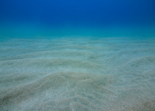 Ocean floor with the sand ripples and blue water background