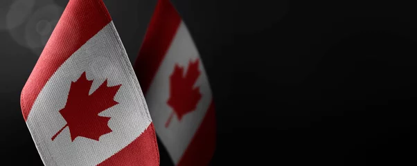 Fotobehang Kleine nationale vlaggen van Canada op een donkere achtergrond © butenkow