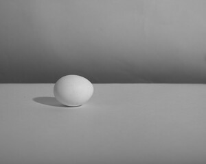 White single animal egg. Chicken egg with soft shadows on white background. Template for Easter holiday.