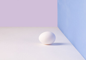 White single egg. Chicken egg with soft shadows on white table. pink, blue background. Template for Easter holiday.
