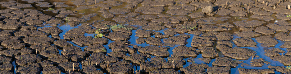 Earth cracked because of drought. The global shortage of water on the planet. Global warming...