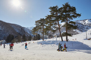 Snow Place in sanosaka Japan