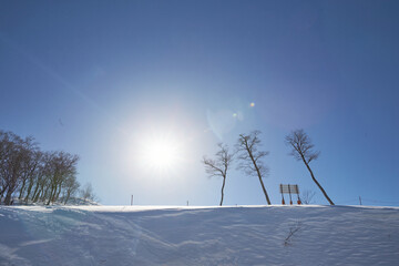 Snow Place in sanosaka Japan