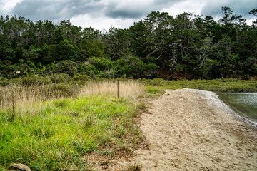 Photos of beach haven in auckland