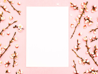 Minimalist springtime mockup. Blank greeting card on pink background with blossoming branches. Feminine still life composition. Template of spring postcard. Blossoming tree branch and space for text.