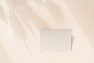 Blank card mockup on light pastel background with moody tulip flowers shadows and copy space.