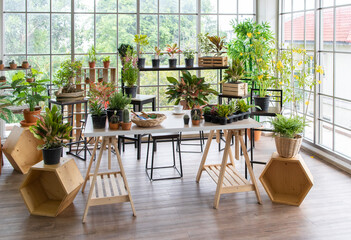 Tree and planting corner in home for doing hobby and relaxing activity. .