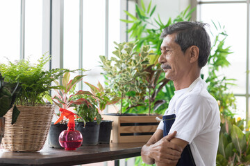 A portrait of a senior Asian man gardener taking care for plant with happy in planting corner at home