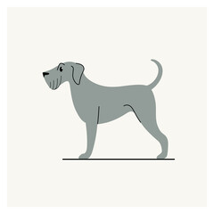 Lakeland Terrier. Cute dog character. Vector illustration in cartoon style for poster, postcard.