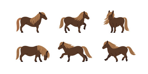 Illustration of pony in various poses. Vector drawing.